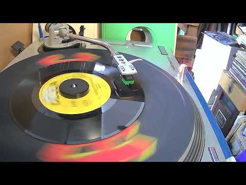 The Best Is Yet To Come ~ Burl Ives ~ 1972 ~ MONO ~  WKSL Radio Promo