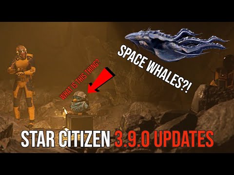 Star Citizen - PLAYER EXPERIENCE 3.9.0 UPDATES & SPACE WHALES?!