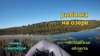 Рыбалка на реке синяя псковская область