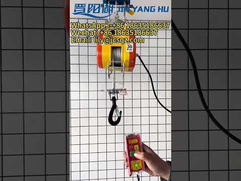 Mini Hoist Remote Single Phase.