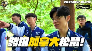 [外絮] CFO MSI Vlog 加拿大松鼠