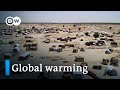 Climate Change Averting Catastrophe DW Documentary