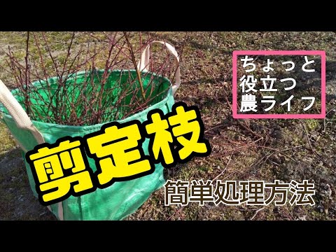 枝の細断の方法を知っておくと便利です。それを最大限に活用するにはどうすればよいでしょうか?  庭園