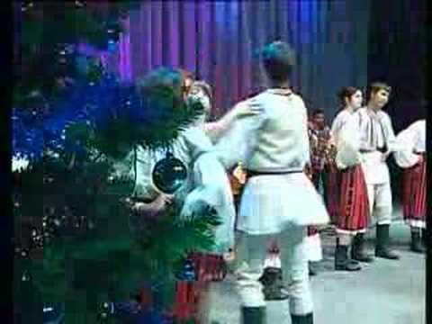 oana bogdan pop - am dragut in multe sate