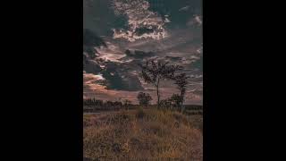 Download lagu story' wa dermaga biru #shorts mp3