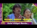 Sola Kiligal Rendu Video Song Koyil Kaalai Tamil Movie Songs Vijayakanth Kanaka Pyramid Music