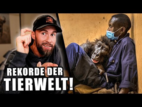 UNGLAUBLICH! DAS ist ein SKANDAL? - Wildlife Photographer of the Year 2022 | Robert Marc Lehmann