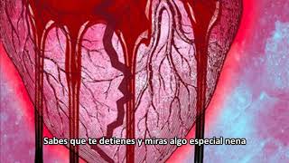 Chris Brown - If You&#39;re Down (Subtitulado Español)