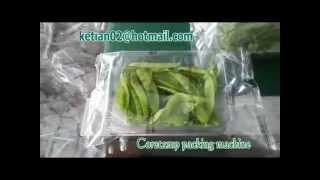 Horizontal pillow packing machine for fresh vegetable