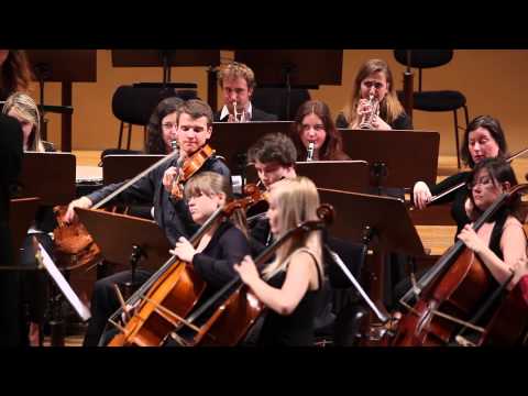 František Václav Míča: Symfonie D dur / Symphony in D