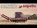 5 facts about the capello brand harvesting equipment for demanding customers matheo780