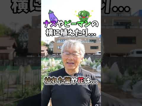 庭にマリーゴールドを植える理由 いつ種を蒔くか どうやって花に利益をもたらすか