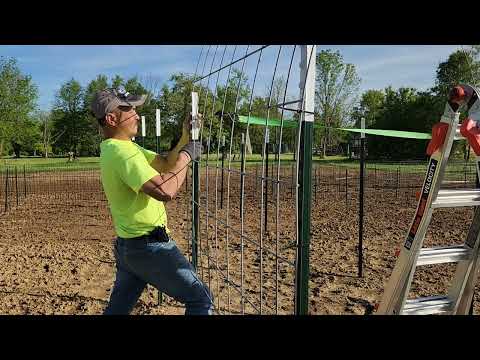 Tsc Cattle Panel