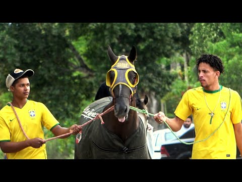 Especial, GRANFINA: trajetória de mais uma vitória