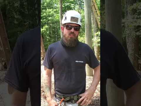 LDP's Leadership Experiential Adventure Program (LEAP)