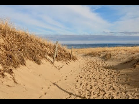 Cape Cod National Seashore: The Beach (Part 1) | Connecting Point | Aug. 6, 2021