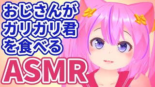 【ASMR】ガリガリ君食レポ！【おじさん】