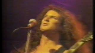 Allegiance  - Destitution