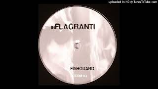 Fishguard - In Flagranti B2
