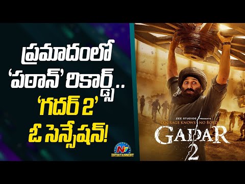 ప్రమాదంలో 'పఠాన్' రికార్డ్స్.. 'గదర్ 2' ఓ సెన్సేషన్! | Gadar 2 | NTV ENT