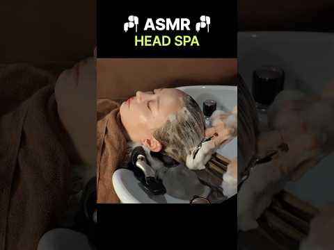 youtube-美容・ダイエット・健康記事2025/11/09 17:47:45