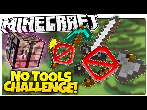 Logdotzip - Think You Can Beat Minecraft Without TOOLS!? | Minecraft No Tools Challenge (Custom Command)