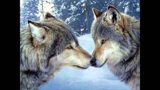 Wolf Love - "Last One Standing"