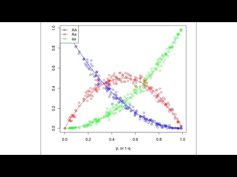 Genetics Lesson 10: Evolution of Populations