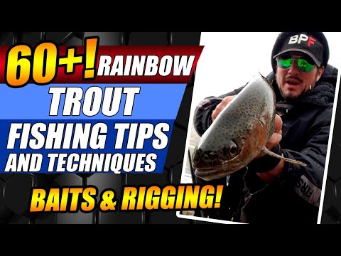 Rainbow Trout Fishing Tips and Techniques Rainbow Trout Bait Shore Fishing Tips Shore Fishing
