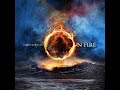 ON FIRE ... Terry Oldfield ... Full Album