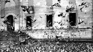 Fen-Of Wilderness and Ruin