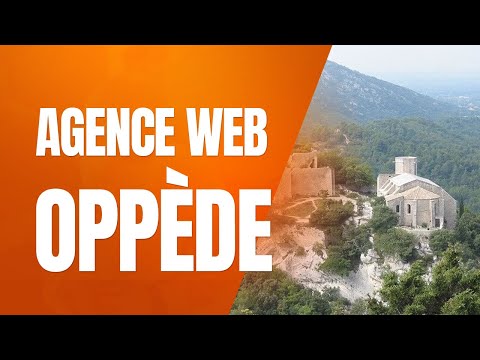 Video vignette