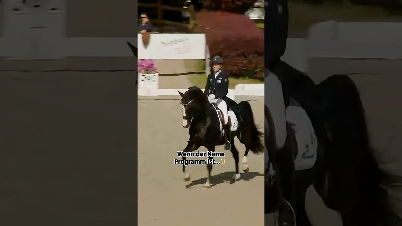 Der Name ist Programm: Oneofakind🌟