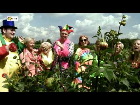 Konfetti Dieter macht - Der Party Song