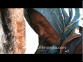 Woman Milking A Trans Himalayan Cow In Ladakh