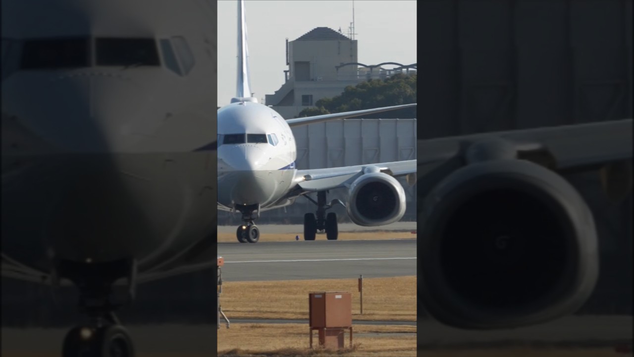 おむすびエンジン加速 ANA 737−800 #Shorts