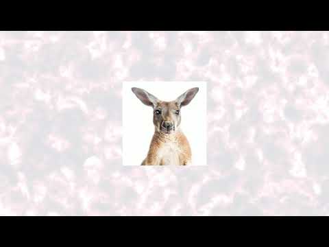 Lil Pump x Logic type beat "Kangaroo"