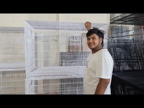 Flying Cage for Birds