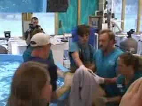 Dylan Released -Part 1