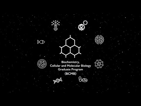 The Biochemistry, Cellular and Molecular Biology (BCMB) Graduate Program at Johns Hopkins