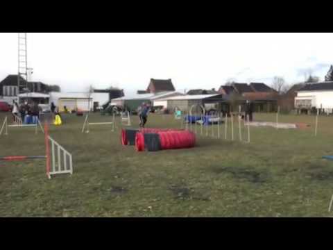 Zulay & Karolien Jumping @ Fly On Dogs 2015