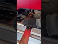 Riproduci video