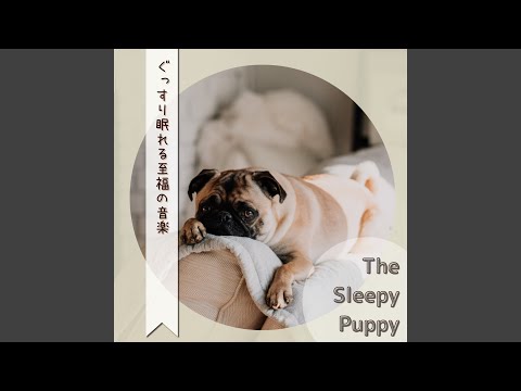 The Flow of Thoughts