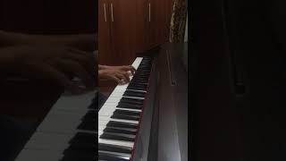 Flower Heart (花心) - Zhang Bichen Cover