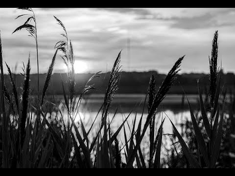 De Luckberries - Er is nog hoop ( 1974 )