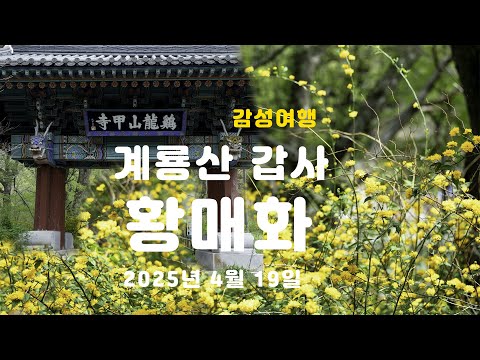 유튜버영상