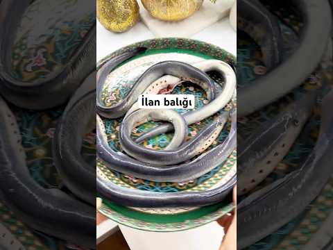 Siz heç ilan balığı yemisiz? Əslində bu nə balıq, nədə ilandır. Bu Minoqadır..