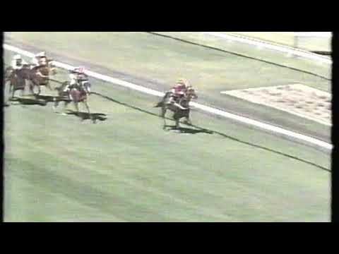 1991 Swettenham Stud Stakes - With Me
