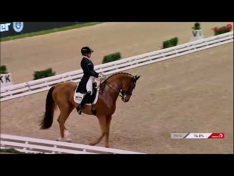 Preis der Firma Stihl - GERMAN DRESSAGE MASTER