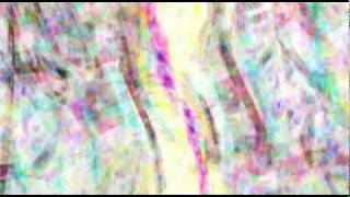 Prins Thomas "Lang Tung Ting"